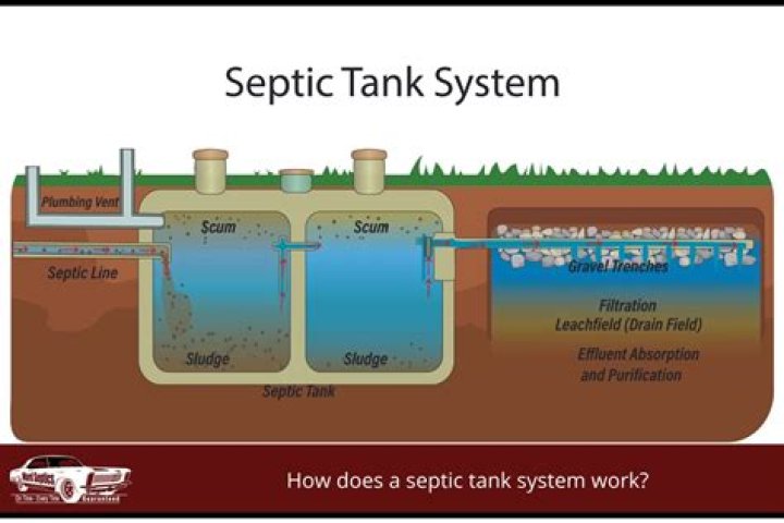 Are bidets good for septic tanks?