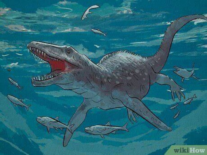 Are dinosaurs still alive in the ocean?