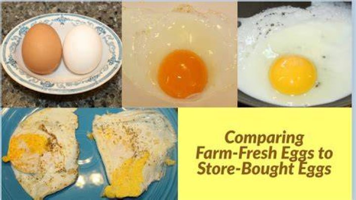 Are farm fresh eggs better than store bought?