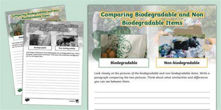 Are newspapers non biodegradable?