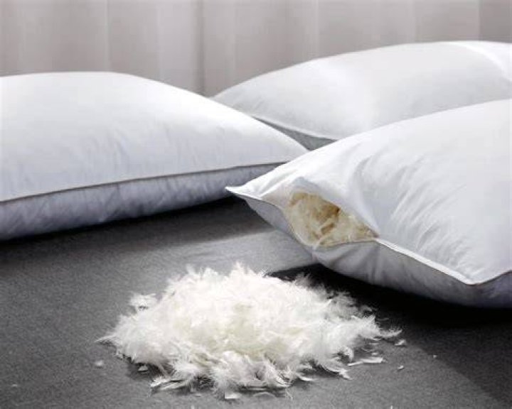 Are old feather pillows unhealthy?