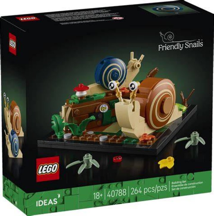 Are snails friendly?