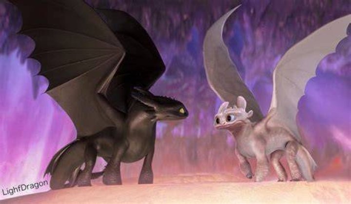 Are there any other night furies?
