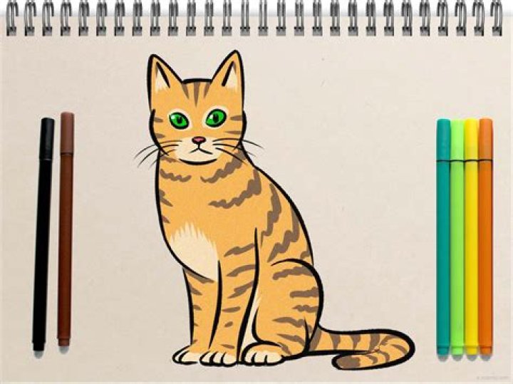 At what age should a male cat be neutered?
