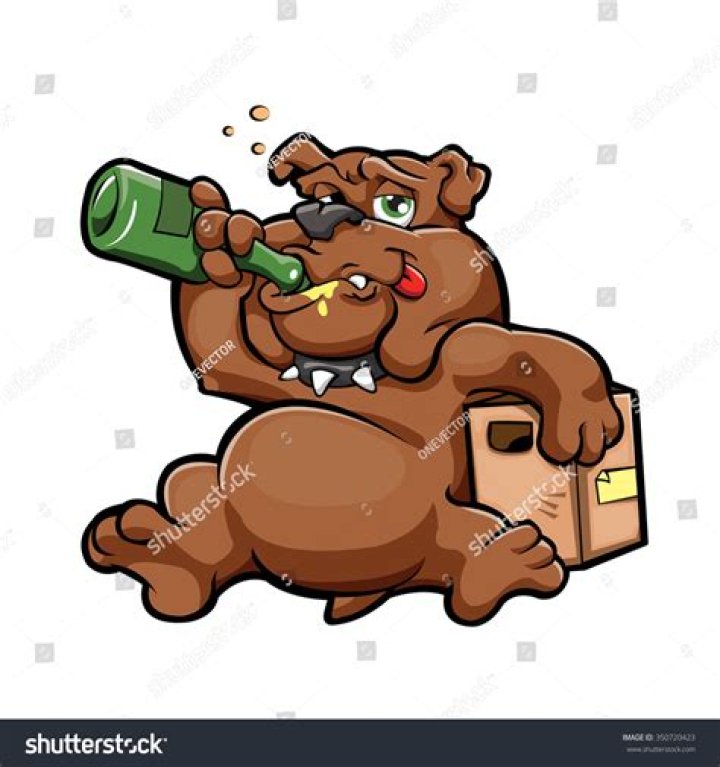 Can a dog get drunk?