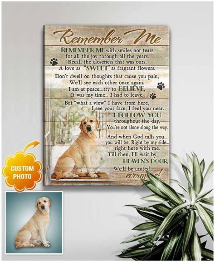 Can a dog remember a former owner?