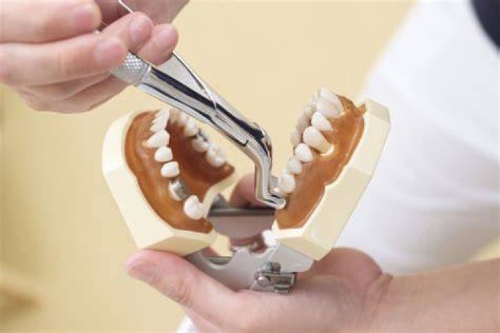 Can a molar tooth grow back?
