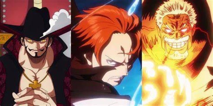Can Aokiji use Haki?