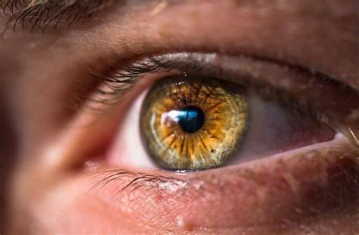 Can brown eyes turn hazel?