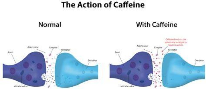 Can caffeine cause serotonin syndrome?