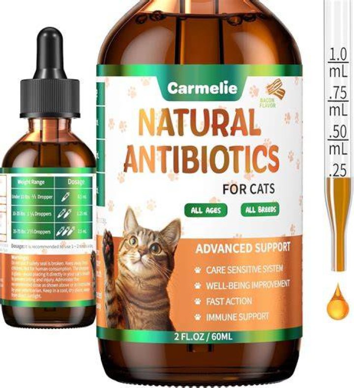 Can cats go insane?