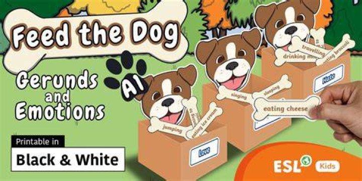 Can dog fake emotions?