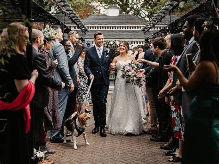 Can dogs attend weddings?