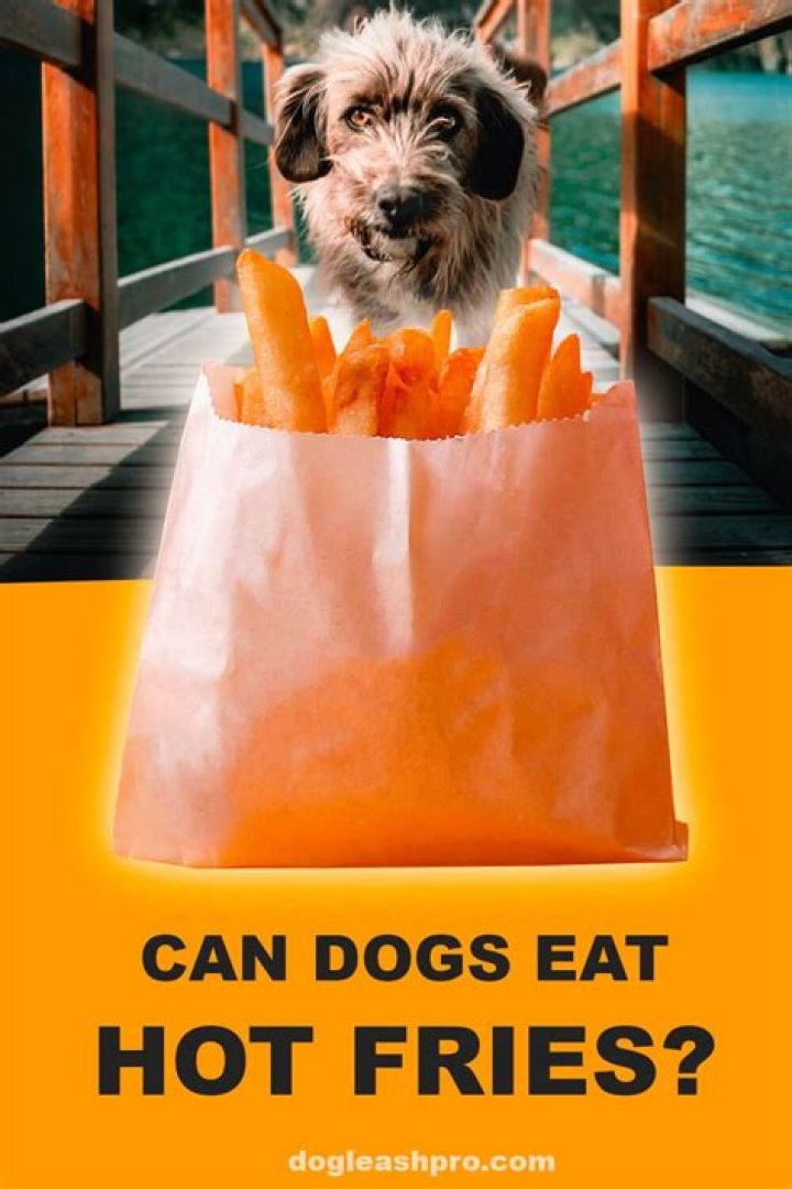 Can dogs eat spicy chips?