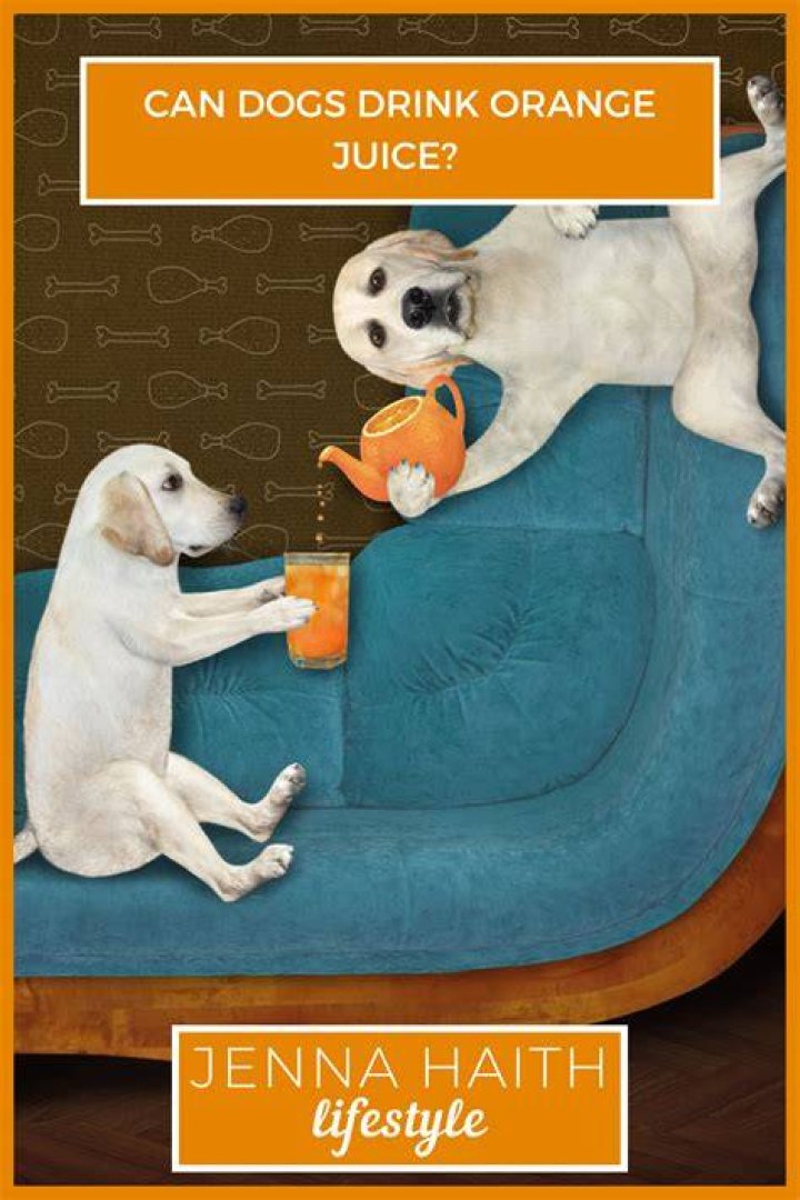 Can dogs have orange juice?