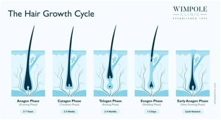 Can eunuchs grow hair?