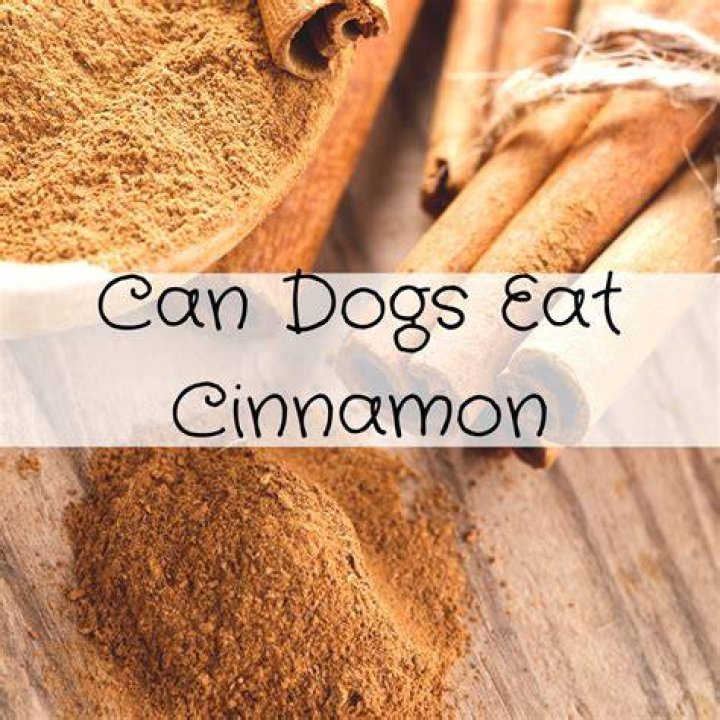 Can goats eat cinnamon?