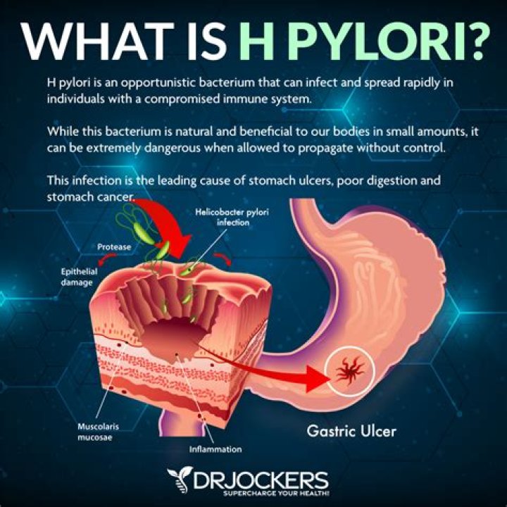 Can H. pylori go away with probiotics?