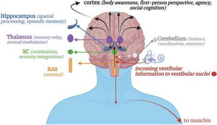Can HOCD cause arousal?