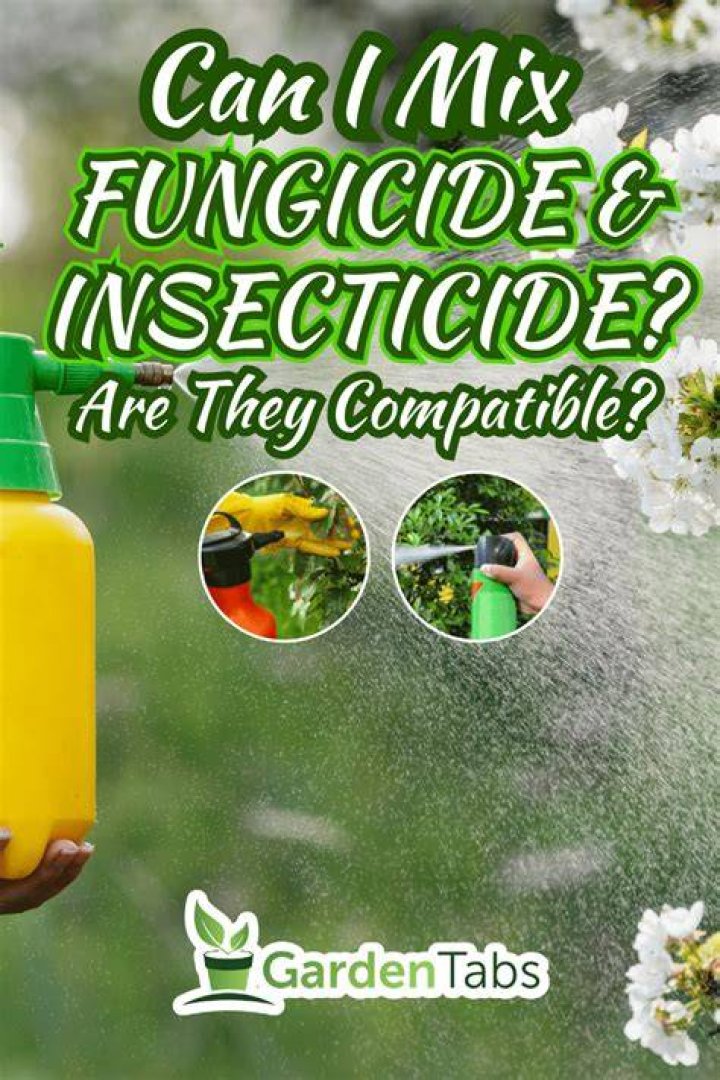 Can I apply fungicide and insecticide at the same time?