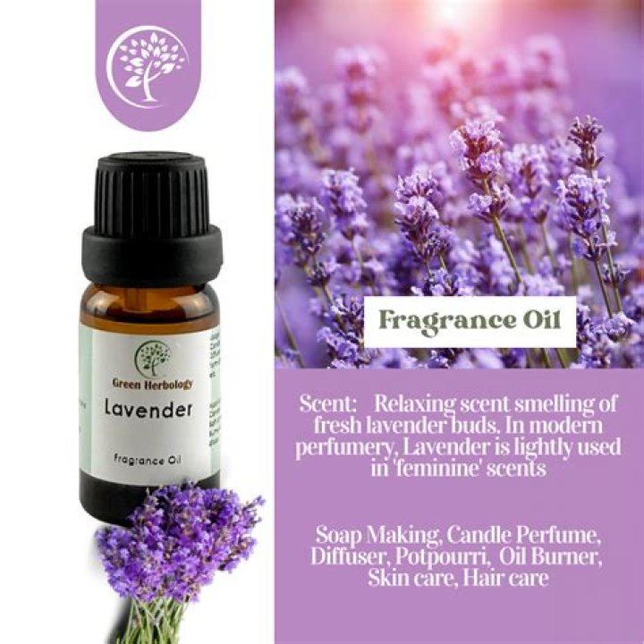 Can I drink lavender oil?