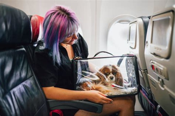 Can I fly with a urine bag?