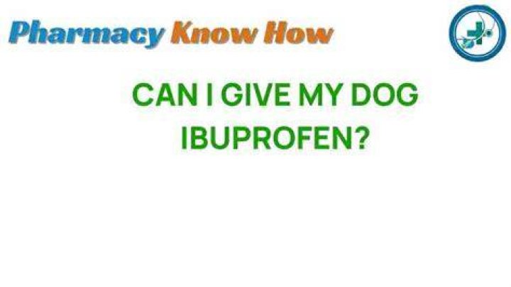 Can I give my dog ibuprofen for a limp?