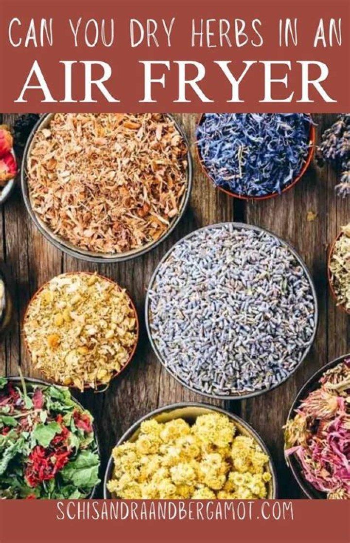 Can I use an air fryer to dry herbs?