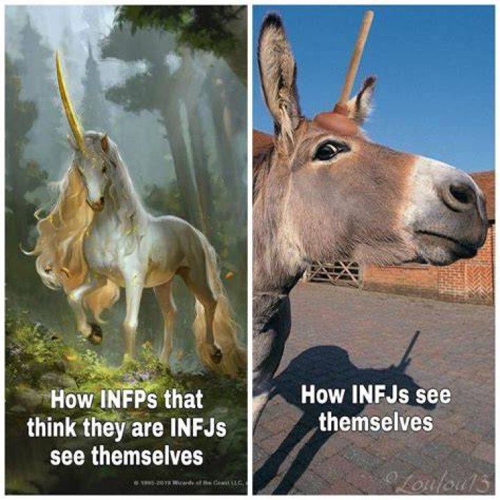 Can INFJs be Type 5?