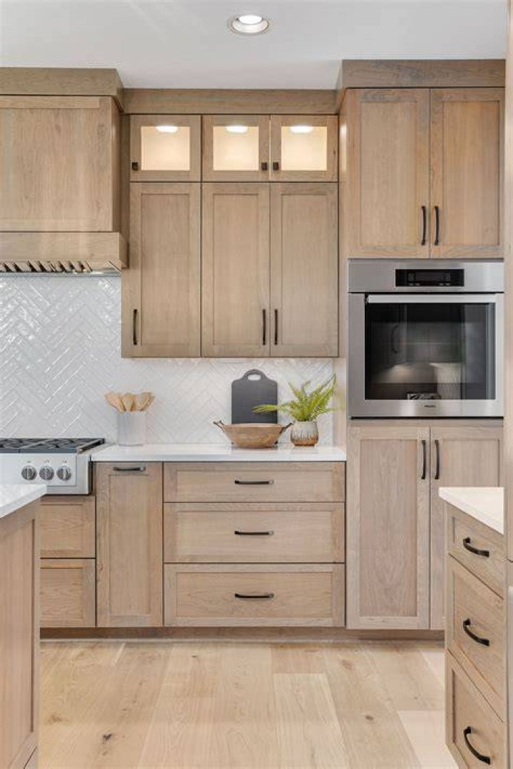 Can mice get in kitchen cabinets?