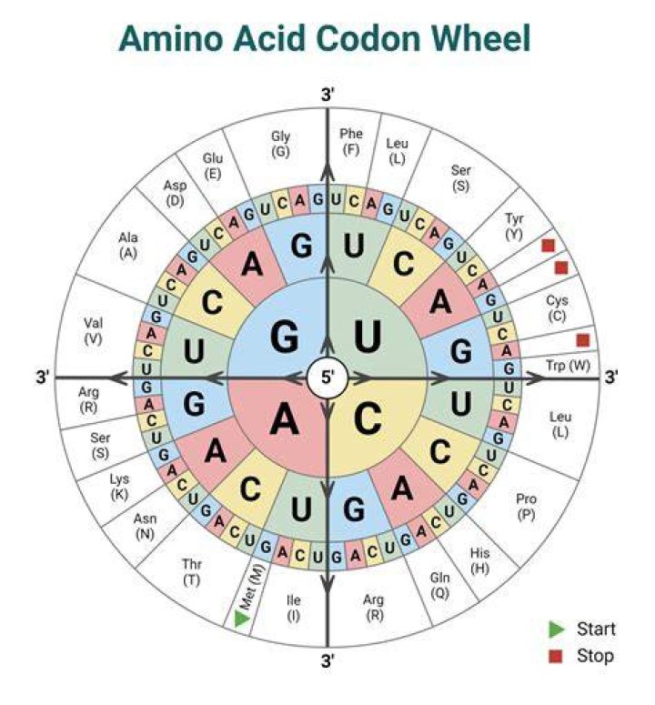 Can occur be coded in 01 level?