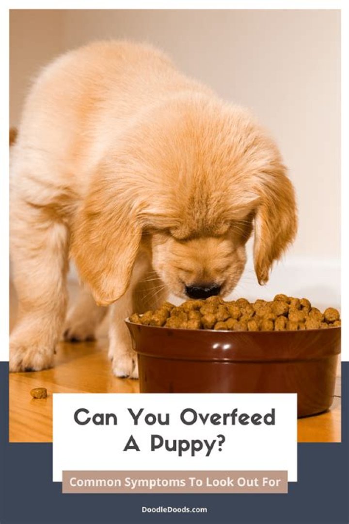Can overfeeding cause SIDS?