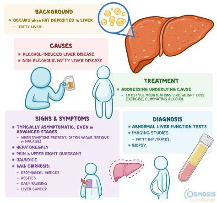 Can Salmonella cause liver damage?