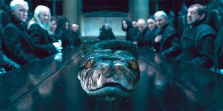 Can Snape beat Voldemort?