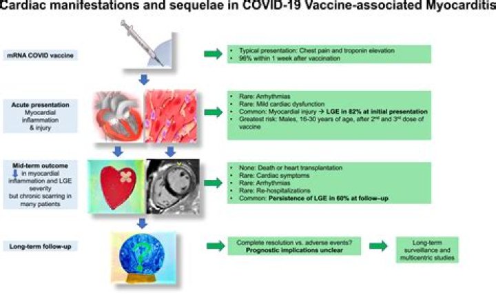 Can the COVID-19 vaccine change your cycle?