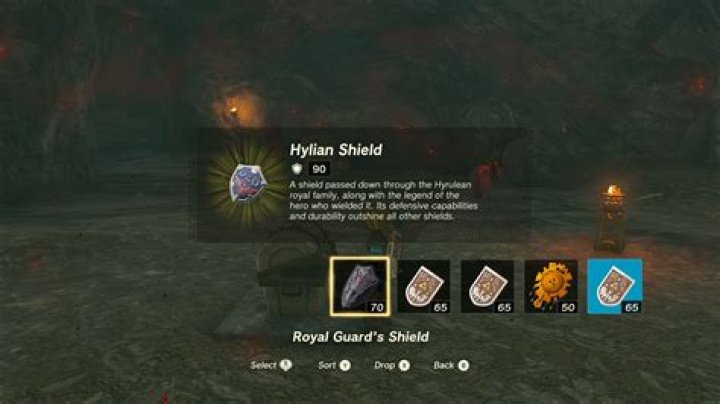 Can the Hylian Shield have buffs?