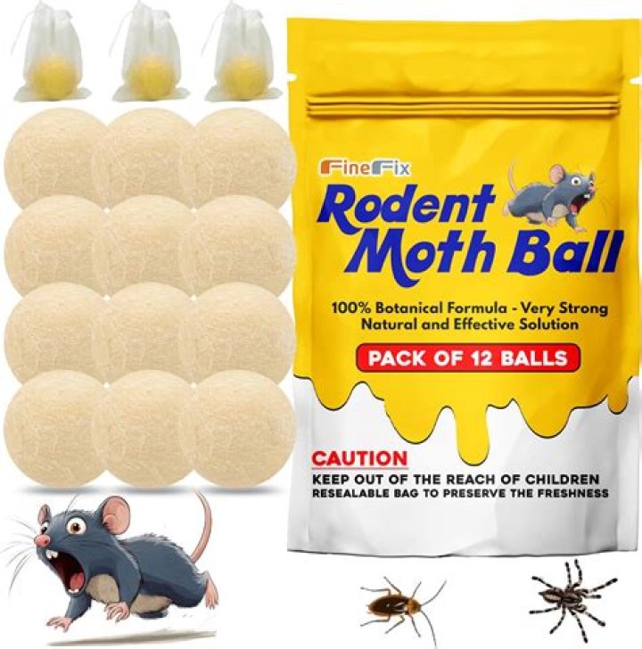 Can the smell of mothballs make a dog sick?