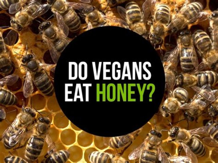Can vegans eat local honey?