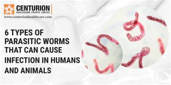 Can you get worms in your ovaries?