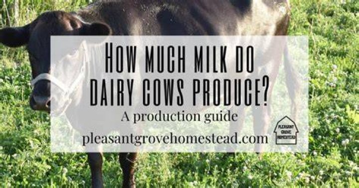 Can you produce milk forever?