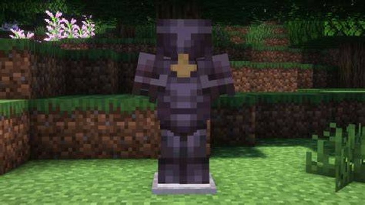 Can you put Netherite on Elytra?