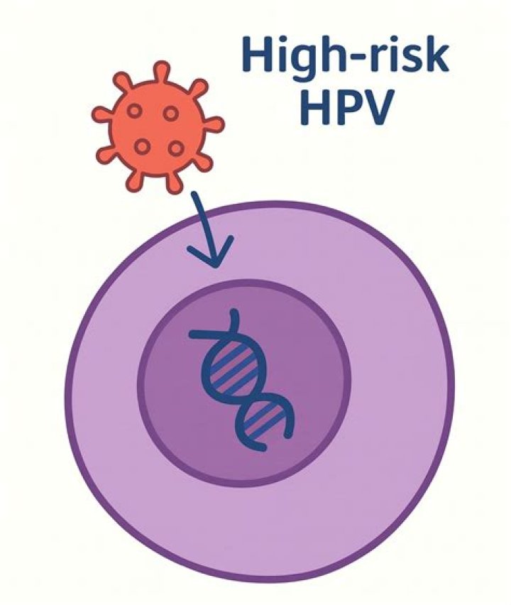 Can you recover from high-risk HPV?