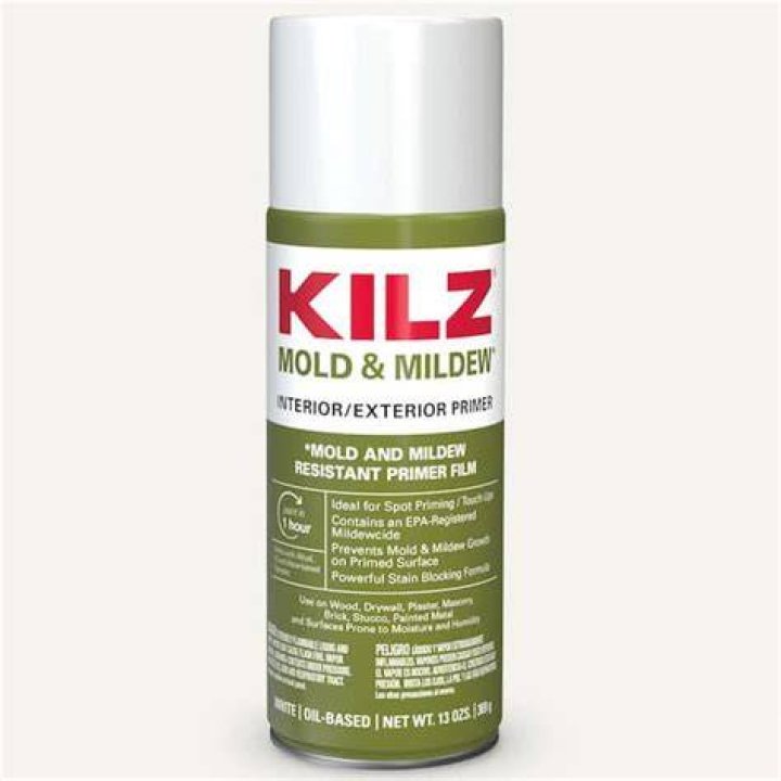 Can you spray kilz over mold?