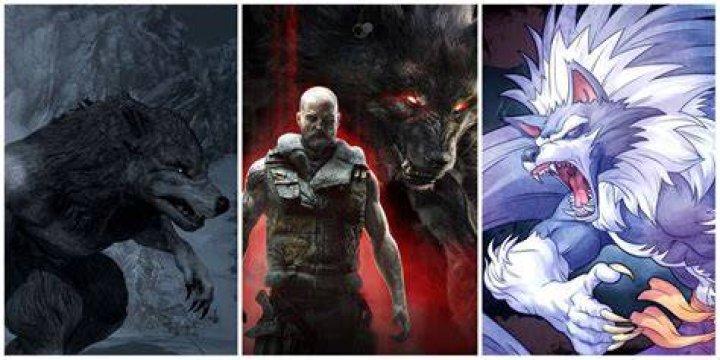 Can you still become a Vampire Lord if you are a werewolf?