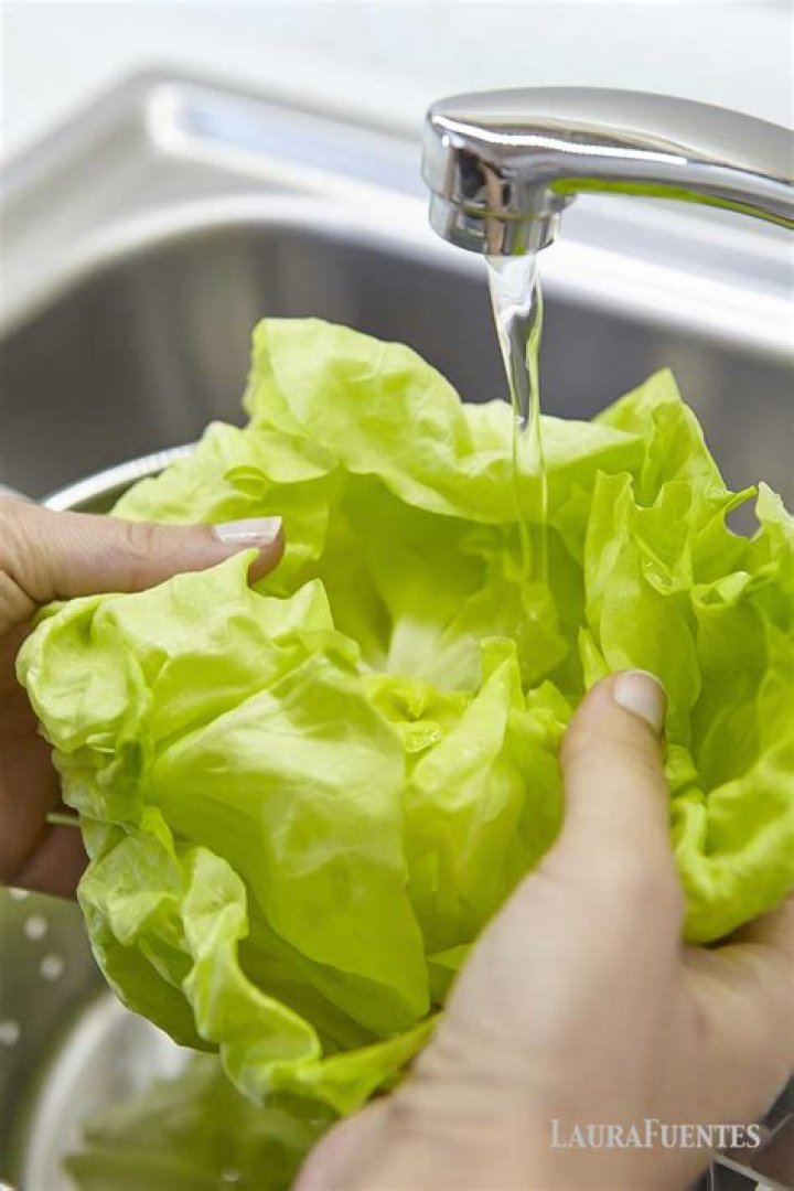 Can you wash lettuce in vinegar water?