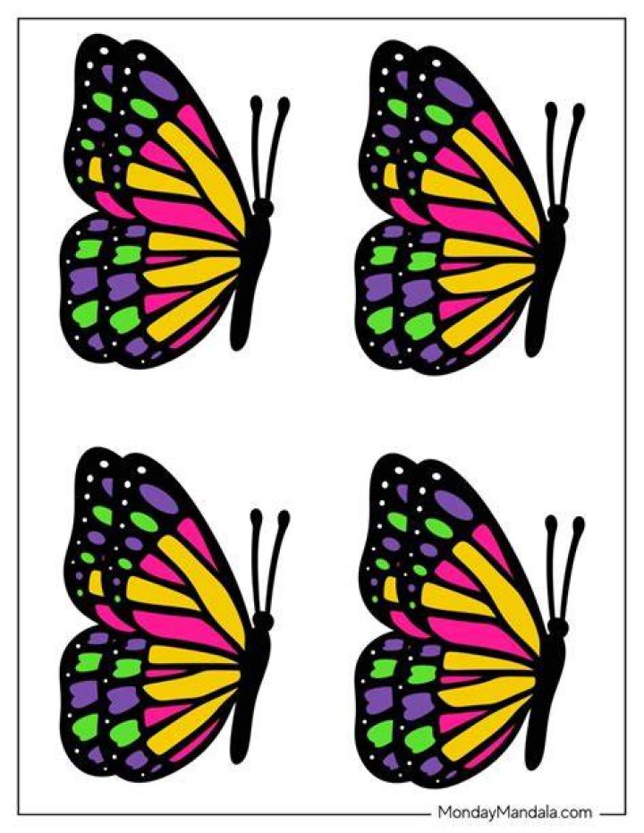 Did Captain Locke already have a butterfly?