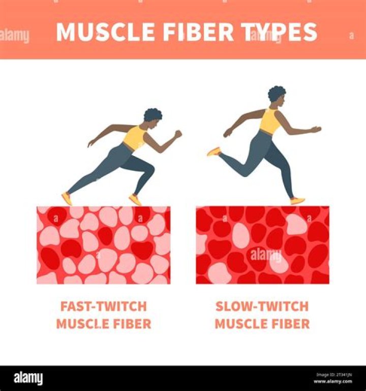 Do African Americans have more fast-twitch muscles?