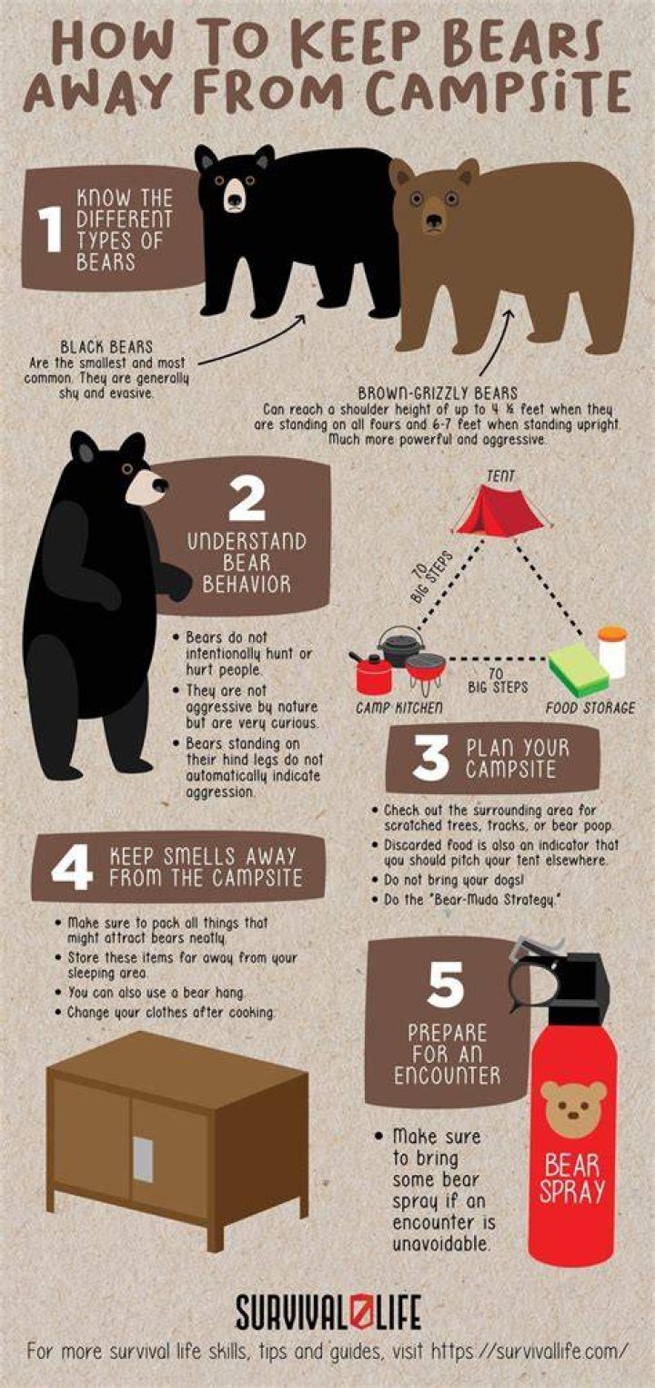 Do campfires keep bears away?
