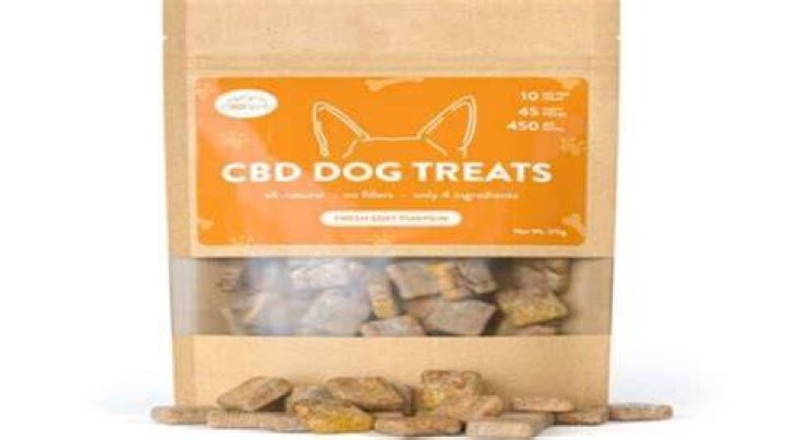 Do CBD dog treats help with anxiety?