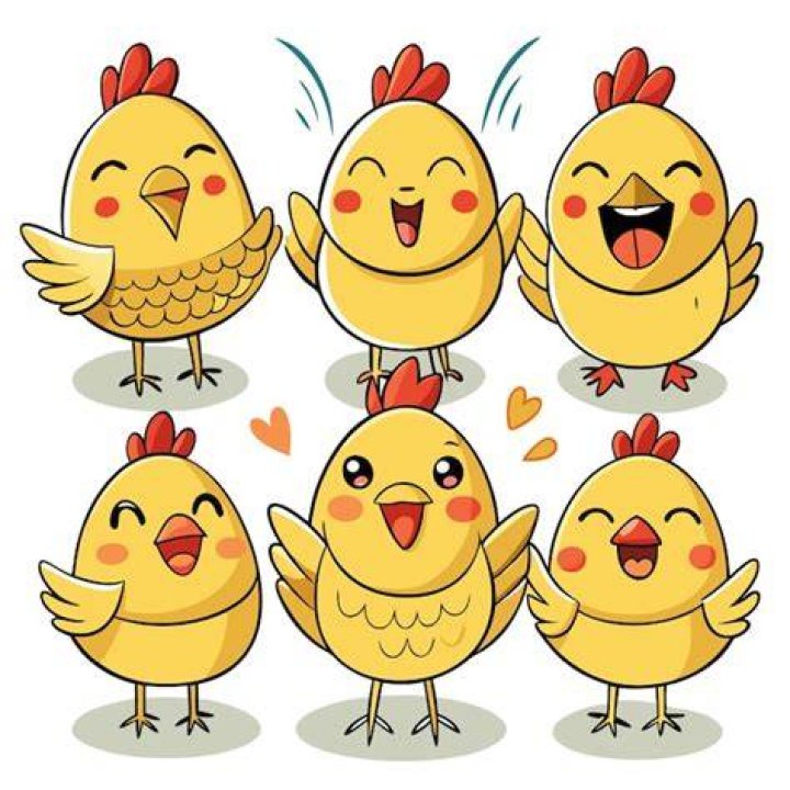 Do chickens show emotions?